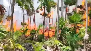 Seis días de fuego en La Ensenada, Holbox: avance del incendio y exigencia de justicia
