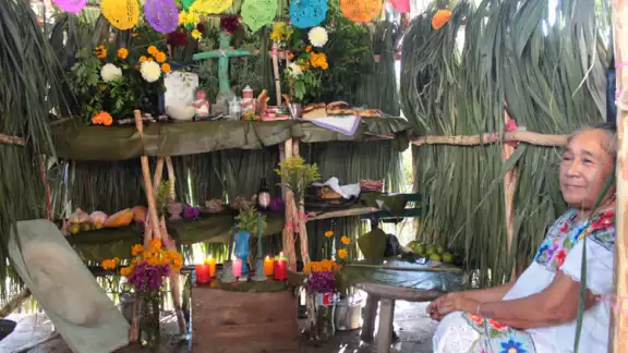 En el sureste la flor se llama X´pujuc En el sureste la flor se llama X´pujuc