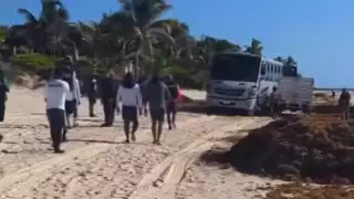 Camión queda atascado frente a turistas en Tulúm; hecho se da en medio de temporada de anidación de tortugas marinas