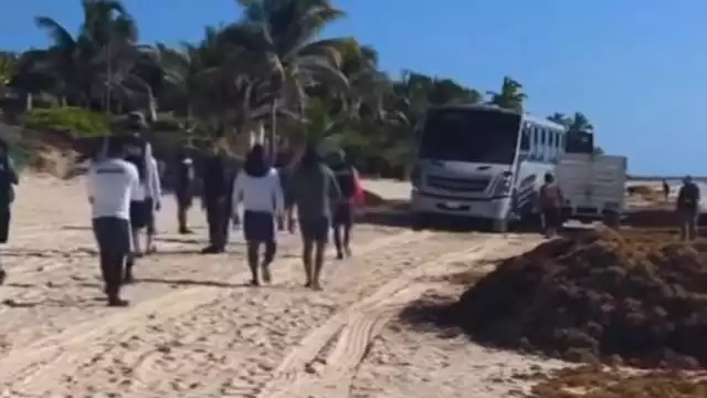 Camión queda atascado frente a turistas en Tulúm; hecho se da en medio de temporada de anidación de tortugas marinas