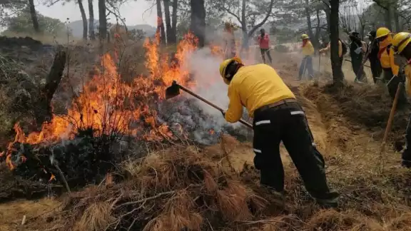 Ya hay seis incendios activos en Campeche Ya hay seis incendios activos en Campeche