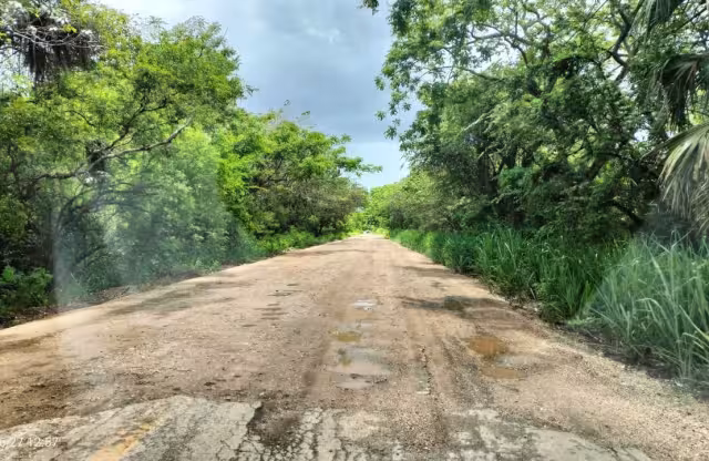 SICT anuncia reconstrucción de la carretera Santa Adelaida–Palizada para 2026