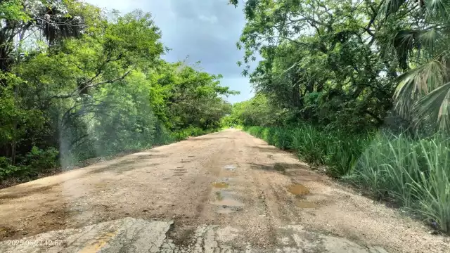 SICT anuncia reconstrucción de la carretera Santa Adelaida–Palizada para 2026