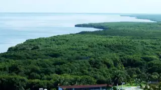 Los Petenes   en Campeche,  escudo natural contra huracanes