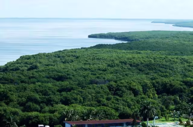 La Reserva de la Biosfera de Los Petenes en Campeche es un área protegida que ejemplifica la función protectora de los manglares.