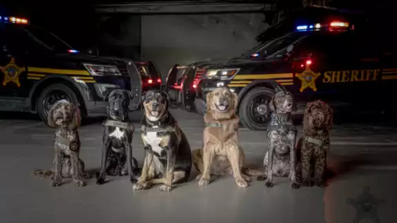La unidad K-9 y el programa de entrenamiento son muy reconocidos.