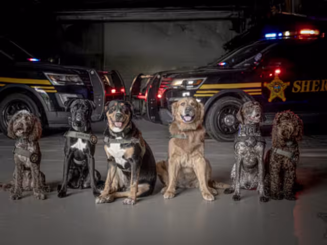 La unidad K-9 y el programa de entrenamiento son muy reconocidos.