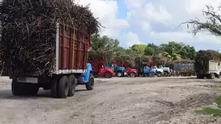 Productores de zafra en Chetumal lidian con “cartera vencida" por cosechas afectadas