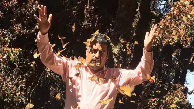 Netflix estrena documental de Homero Gómez, 'El Guardián de las Monarcas'