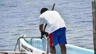 Captura de pulpo en Campeche, a la baja, a seis días de iniciar la temporada