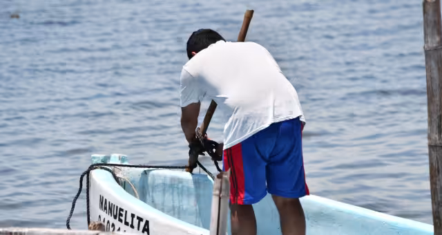 Captura de pulpo en Campeche a la baja a seis días de iniciar la temporada
