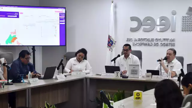 Provee los resultados preliminares, a través de la captura y publicación de los datos de los funcionarios