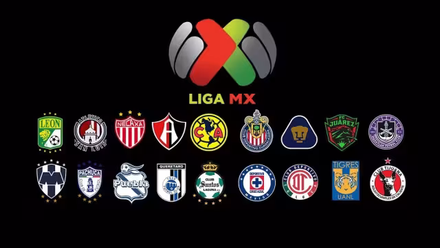 ¿Cómo marcha tu equipo?. Foto: Liga MX