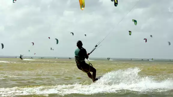 Desde otoño, turistas se reúnen en Isla Blanca para vivir esta experiencia, que dura aproximadamente 90 minutos. En verano esperan una baja en el servicio