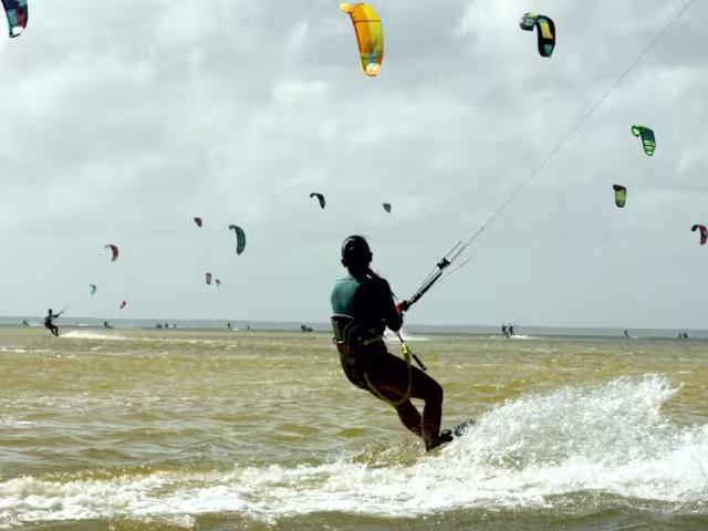 Desde otoño, turistas se reúnen en Isla Blanca para vivir esta experiencia, que dura aproximadamente 90 minutos. En verano esperan una baja en el servicio