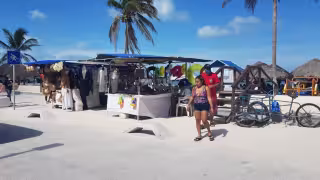 Prestadores de servicios vaticinan un aumento de sus ganancias con la llegada de los cruceros