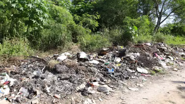 Múltiples lotes baldíos se encuentran sin limpiar, municipio no puede imponer multas.