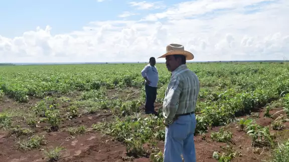 Ernesto Cruz González Denuncia Abandono del Campo Mexicano Ernesto Cruz González Denuncia Abandono del Campo Mexicano