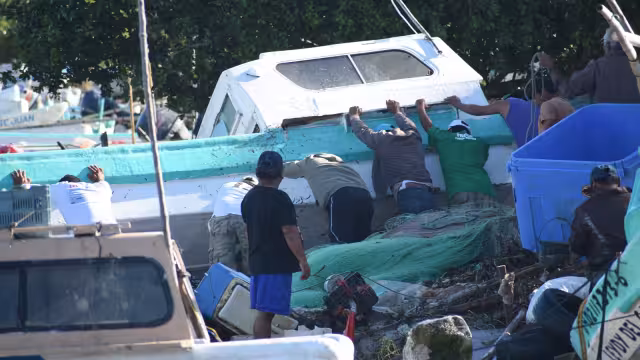 El principal problema que afronta el sector marino en el litoral campechano es la presencia de la depredación