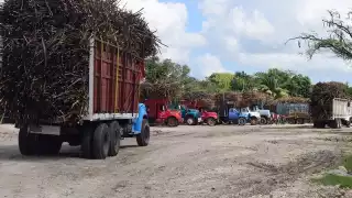 Líderes cañeros de Ribera del Río Hondo se reúnen con autoridades ante plaga de hongo en cosechas