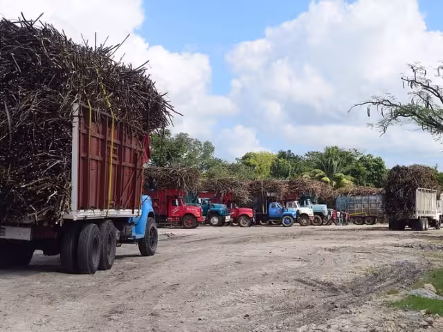 Un total de 12 mil hectáreas de los campos en la Ribera se han visto afectadas