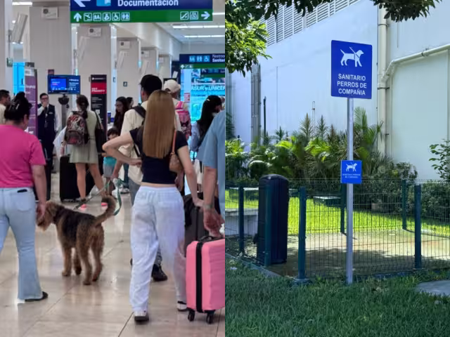Las autoridades del aeropuerto aseguraron que esta terminal es de las pocas en el país que tiene baños para canes de compañía