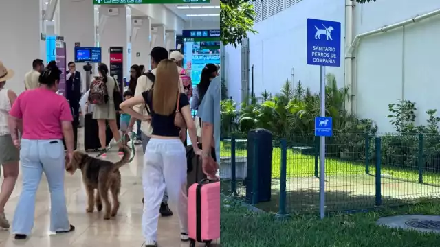 Las autoridades del aeropuerto aseguraron que esta terminal es de las pocas en el país que tiene baños para canes de compañía