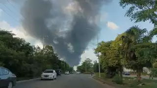 Temporada de incendios forestales en Cancún: Por qué se generan y recomendaciones para evitarlos