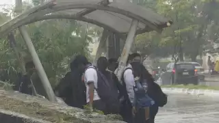 Pide Congreso de Campeche a los 13 ayuntamientos realizar trabajos de desazolve y limpieza de cañerías