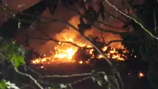 Deforestación en Campeche: denuncian afectación de más de 700 hectáreas