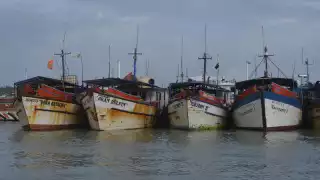 Sector pesquero en Yucatán cierra el 2024 en focos rojos; baja captura y depredación, entre las causas