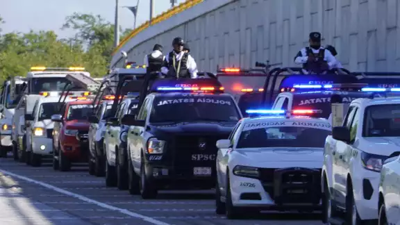 Tiene como objetivo recibir, orientar y apoyar a los ciudadanos mexicanos Tiene como objetivo recibir, orientar y apoyar a los ciudadanos mexicanos
