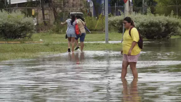 No es afección alarmante asegura salud No es afección alarmante asegura salud