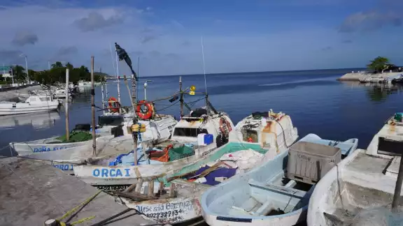 Faltan más inspectores para poder vigilar el litoral campechano, como han externado los pescadores. Faltan más inspectores para poder vigilar el litoral campechano, como han externado los pescadores.