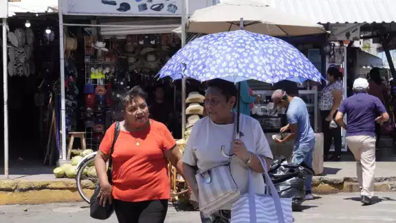 La onda de calor afectará a más de 20 estados, con máximas de hasta 45°C. La onda de calor afectará a más de 20 estados, con máximas de hasta 45°C.