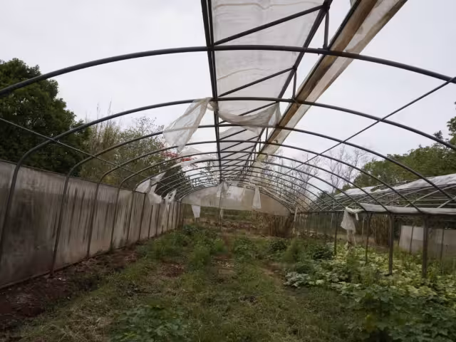 Bachilleratos agropecuarios en la mira: CBTA 15 y CBTA 86 recibirían fondos millonarios