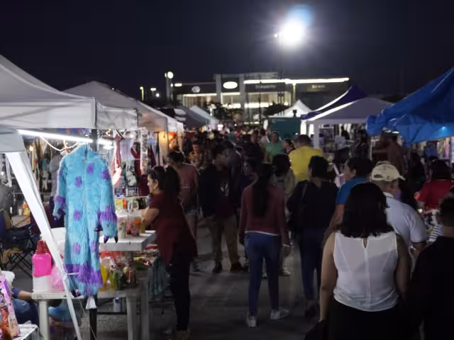 No hubo venta de animales durante los Paseos de Reyes en Campeche