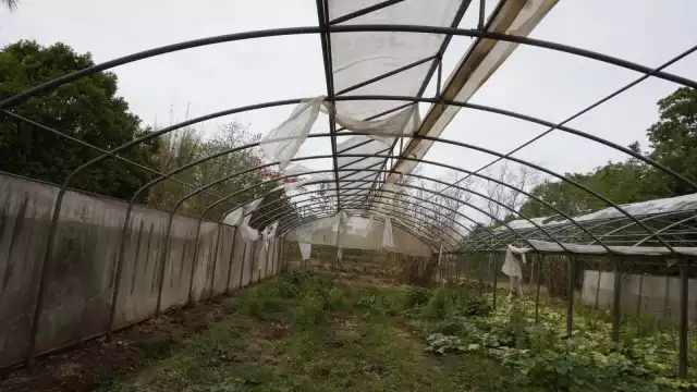 Bachilleratos agropecuarios en la mira: CBTA 15 y CBTA 86 recibirían fondos millonarios