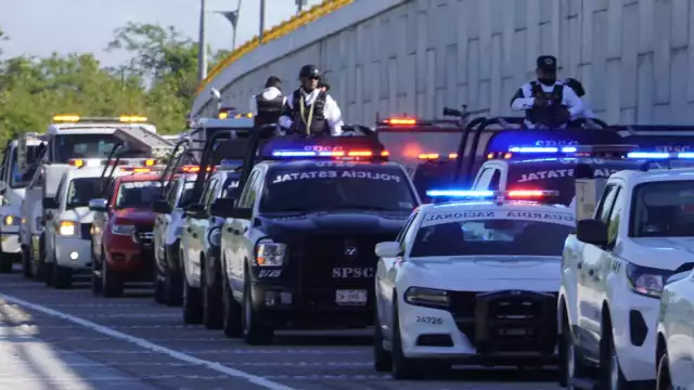 Tiene como objetivo recibir, orientar y apoyar a los ciudadanos mexicanos