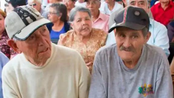 Pensionados son estafados durante sus procesos de pensión.