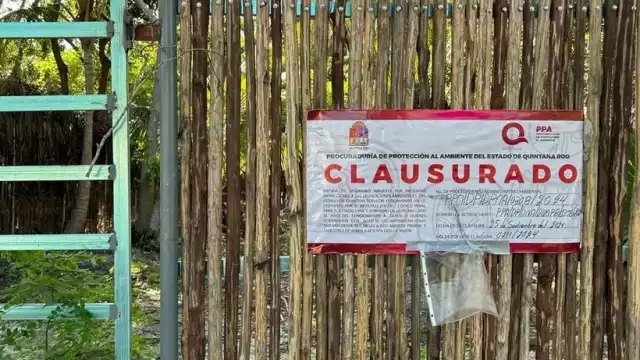 Inspectores federales detectaron construcciones sin Manifestación de Impacto Ambiental (MIA).