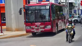 Ko´ox en Campeche: Transportistas piden paciencia por reducción de camiones en la noche