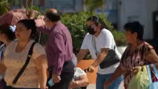 Campeche, libre de Metapneumovirus Humano, confirma la Secretaría de Salud