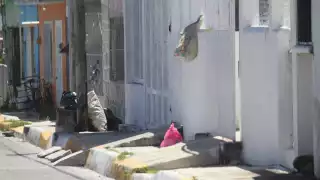 Ausencia de recolección de basura provoca inconformidad en colonias de Champotón