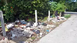 Piden a campechanos no tirar basura para evitar inundaciones   