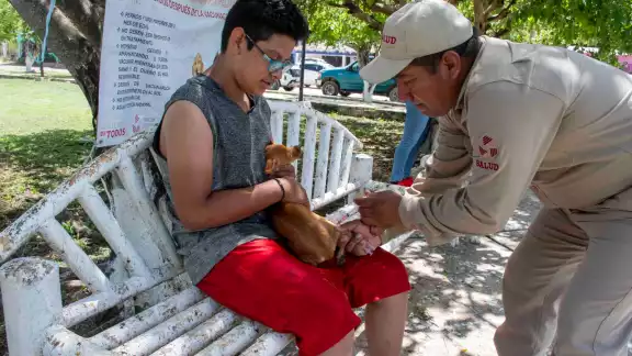 Campeche realiza jornada de vacunación antirrábica gratuita este 11 de agosto