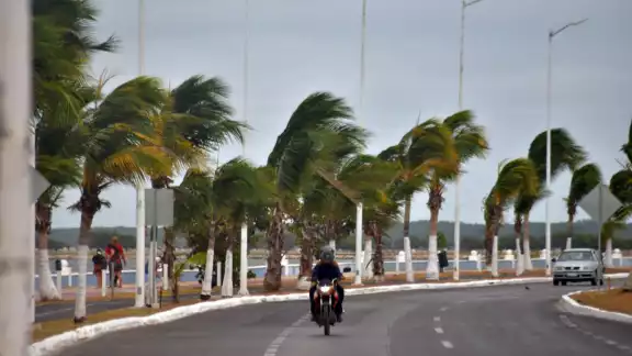 Se esperan rachas de viento mayores a 60 km/h y temperaturas mínimas de 14 °C. Se esperan rachas de viento mayores a 60 km/h y temperaturas mínimas de 14 °C.
