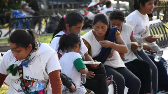 Este 2024, se cumplen 15 años de servicio a los peregrinos en Campeche por las fiestas patronales en honor a la Virgen de Guadalupe Este 2024, se cumplen 15 años de servicio a los peregrinos en Campeche por las fiestas patronales en honor a la Virgen de Guadalupe