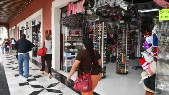 El sector comercio es el más grande