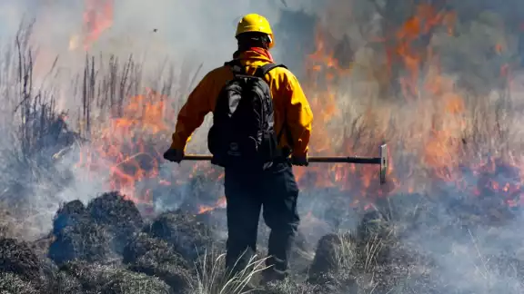 Campeche suma 26 incendios forestales con más de 14 mil hectáreas afectadas hasta el 11 de mayo de 2025. Campeche suma 26 incendios forestales con más de 14 mil hectáreas afectadas hasta el 11 de mayo de 2025.